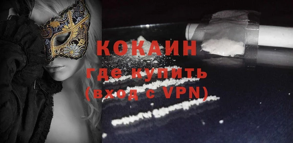 дживик Инта