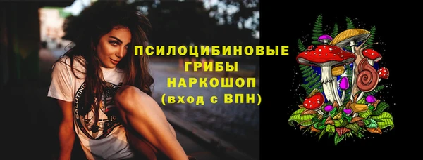 дживик Инта