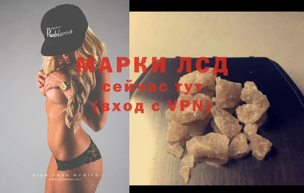 дживик Инта