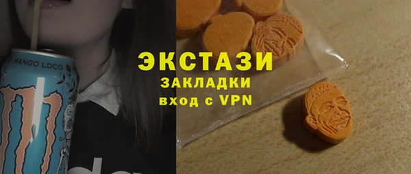 дживик Инта