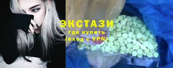 дживик Инта