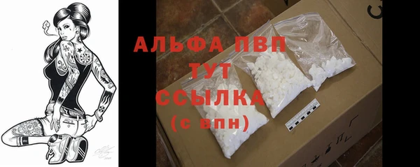 спиды Инсар