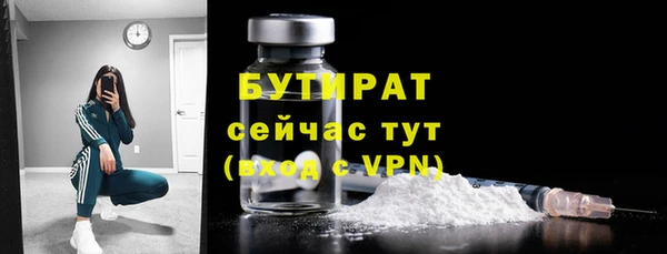 дживик Инта