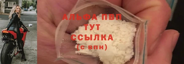 спиды Инсар