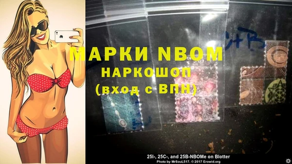 спиды Инсар