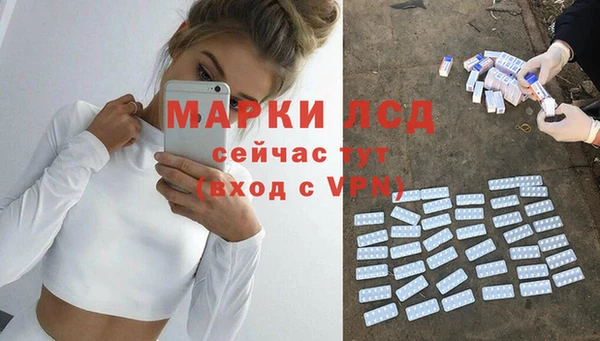 дживик Инта