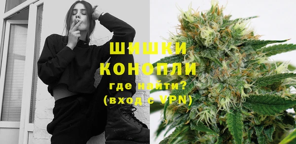дживик Иннополис