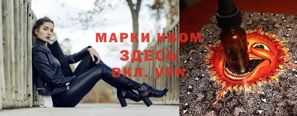 спиды Инсар