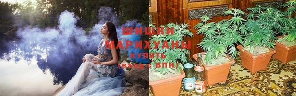 дживик Иннополис