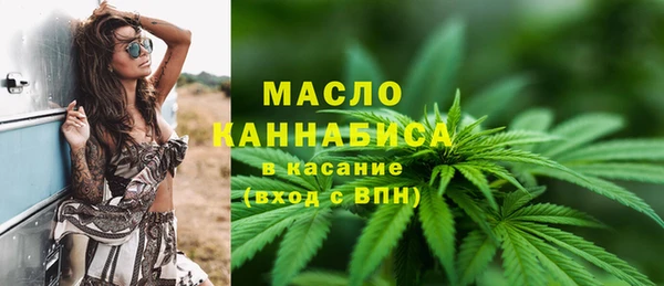 дживик Инта
