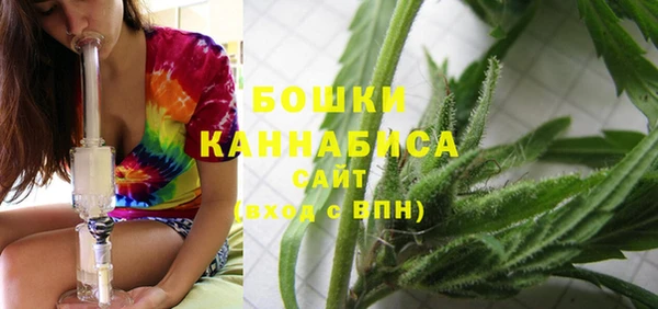 спиды Инсар