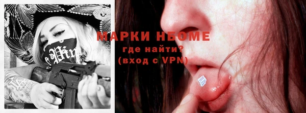 дживик Инта
