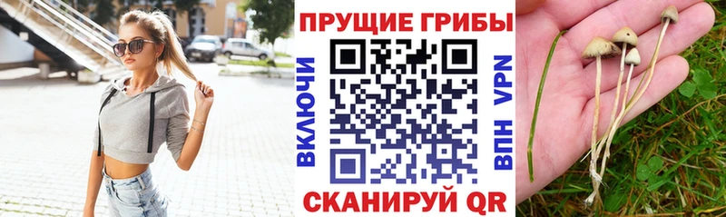 Псилоцибиновые грибы ЛСД  Купить  Енисейск 
